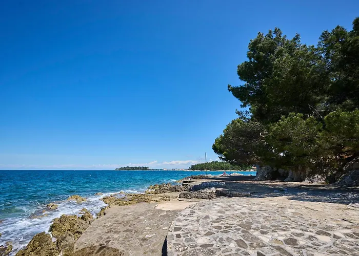 Villa Galijot Plava Laguna